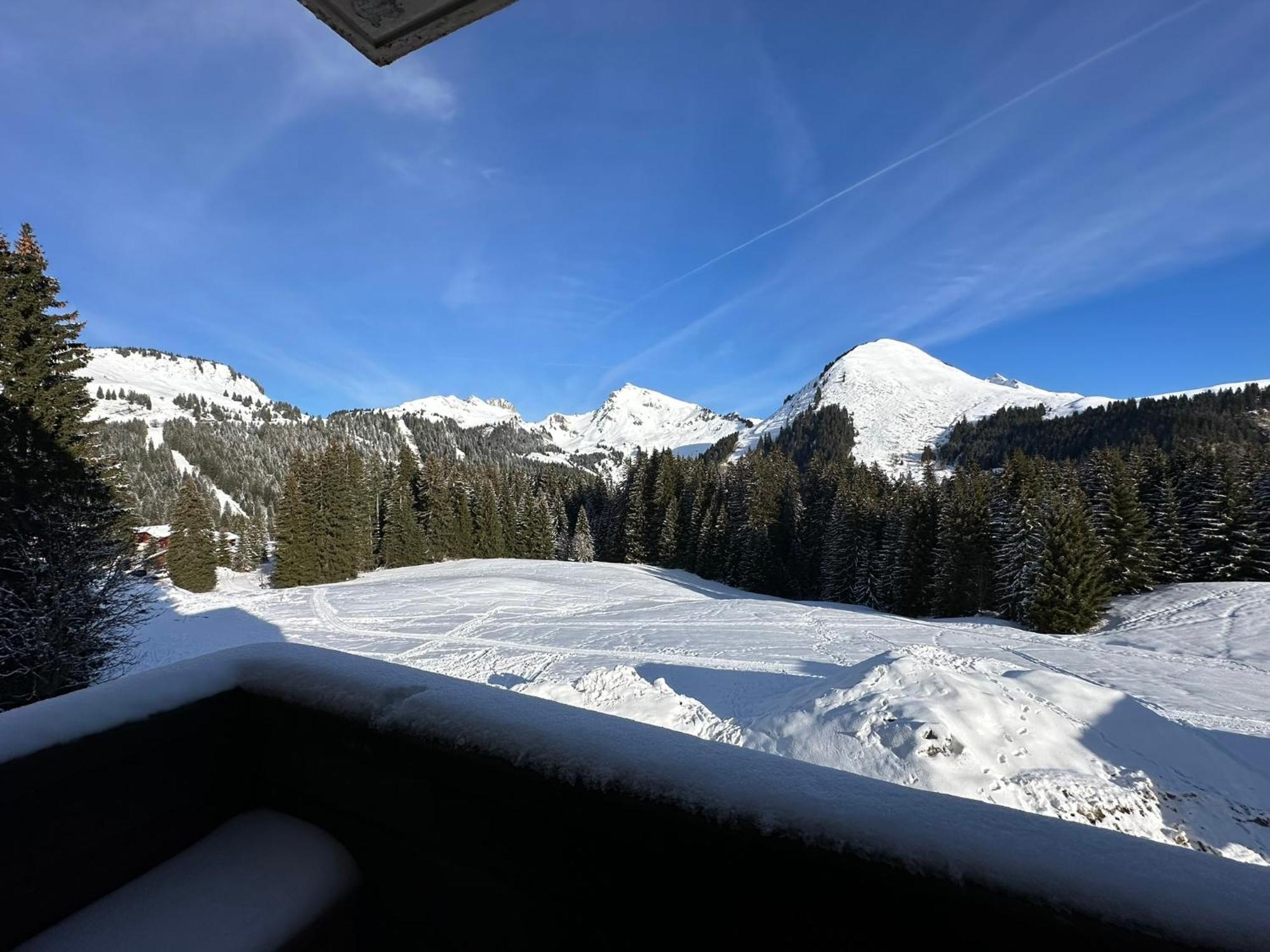 Studio Au Coeur Du Praz-De-Lys - Les Pralyssimes Le Praz de Lys Dış mekan fotoğraf