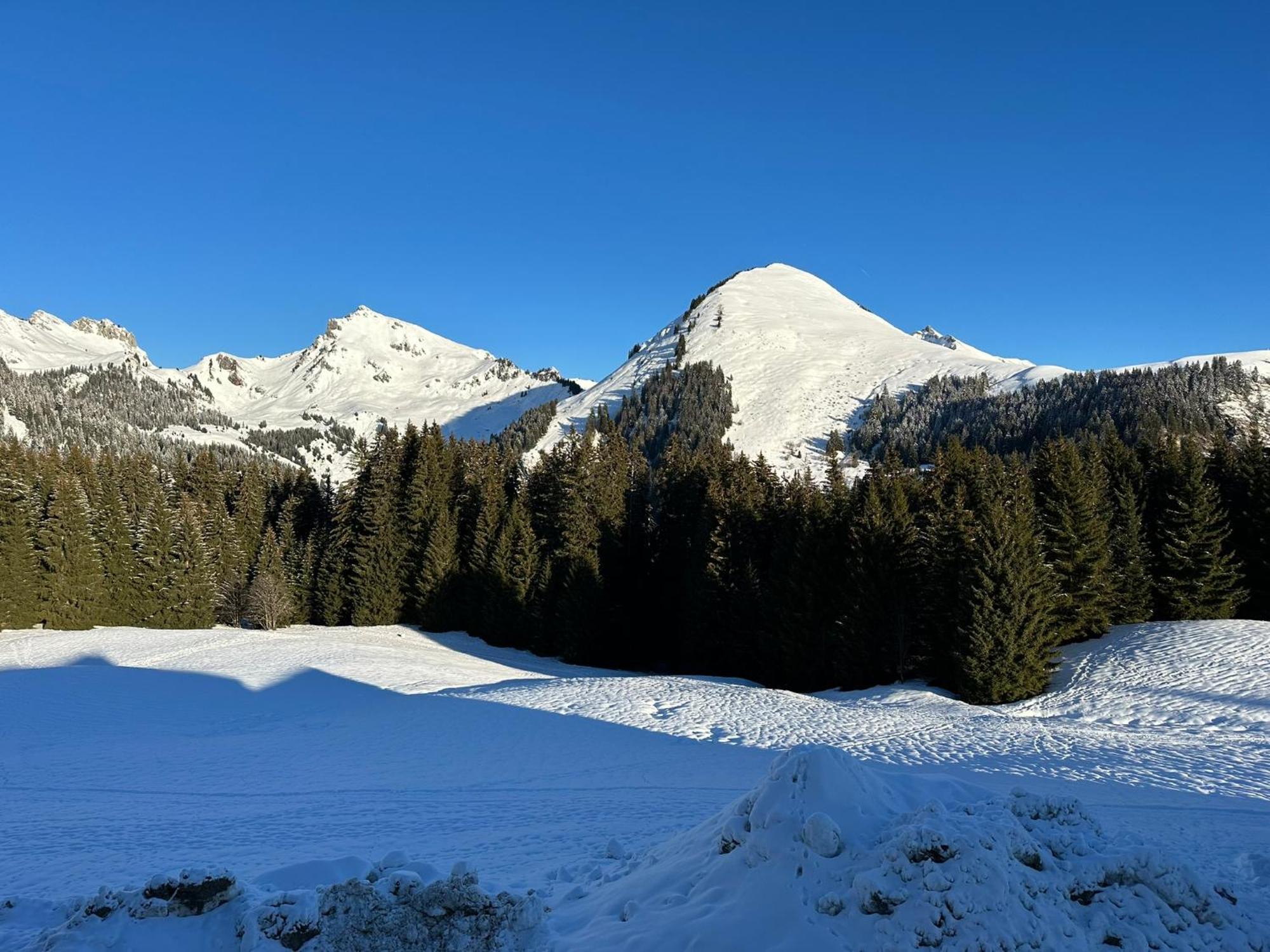 Studio Au Coeur Du Praz-De-Lys - Les Pralyssimes Le Praz de Lys Dış mekan fotoğraf
