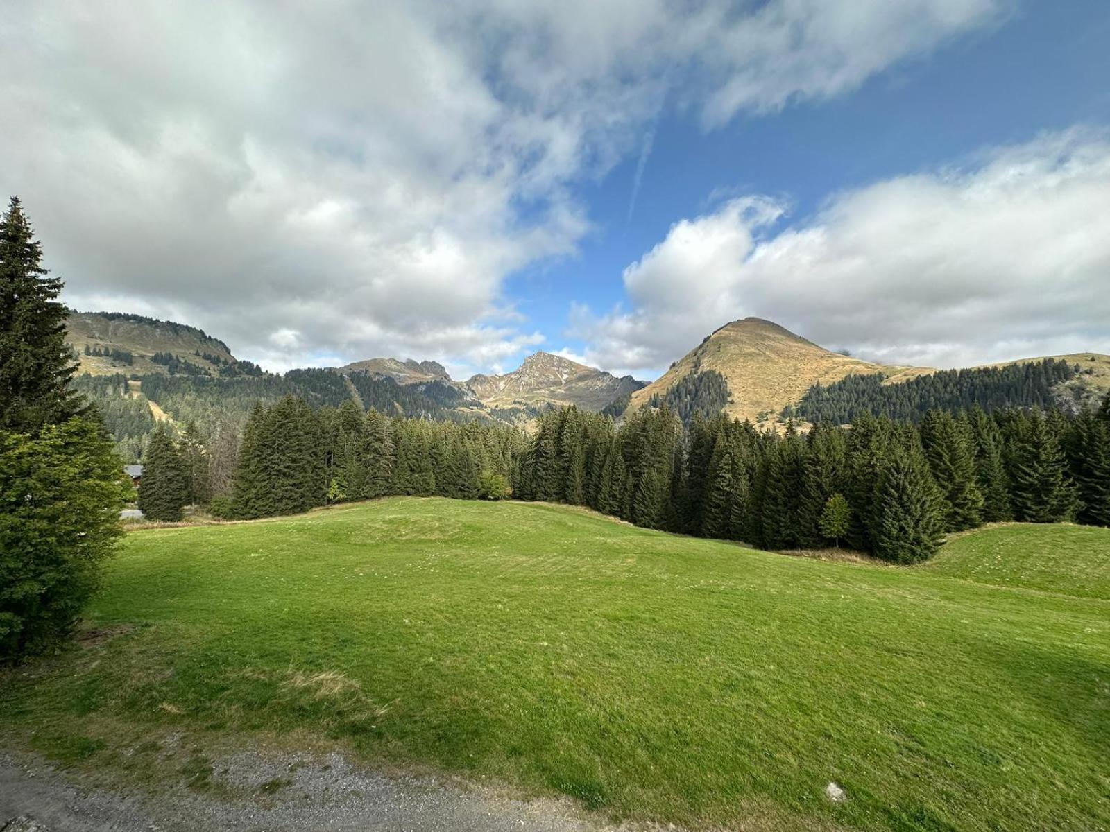 Studio Au Coeur Du Praz-De-Lys - Les Pralyssimes Le Praz de Lys Dış mekan fotoğraf