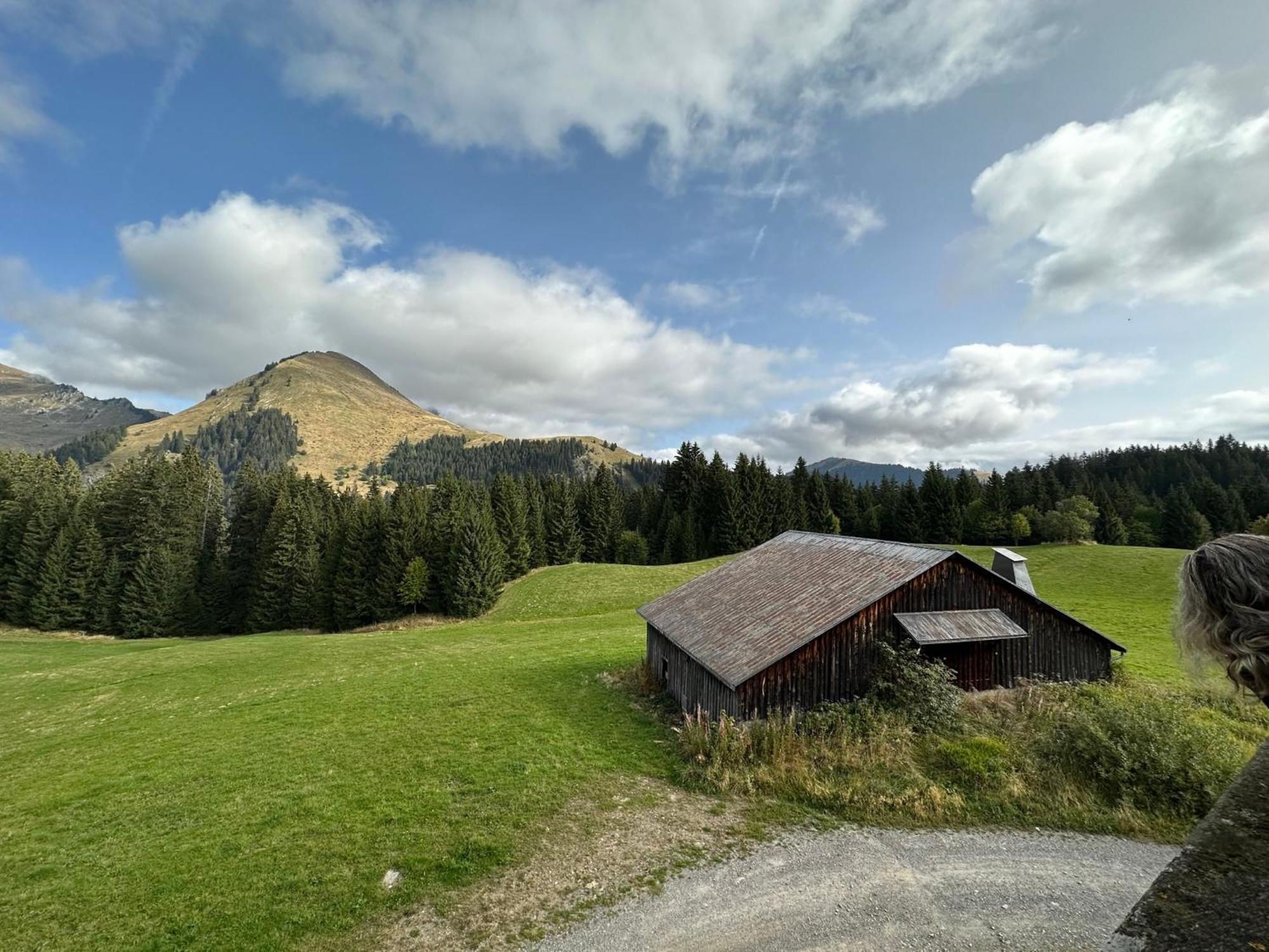Studio Au Coeur Du Praz-De-Lys - Les Pralyssimes Le Praz de Lys Dış mekan fotoğraf