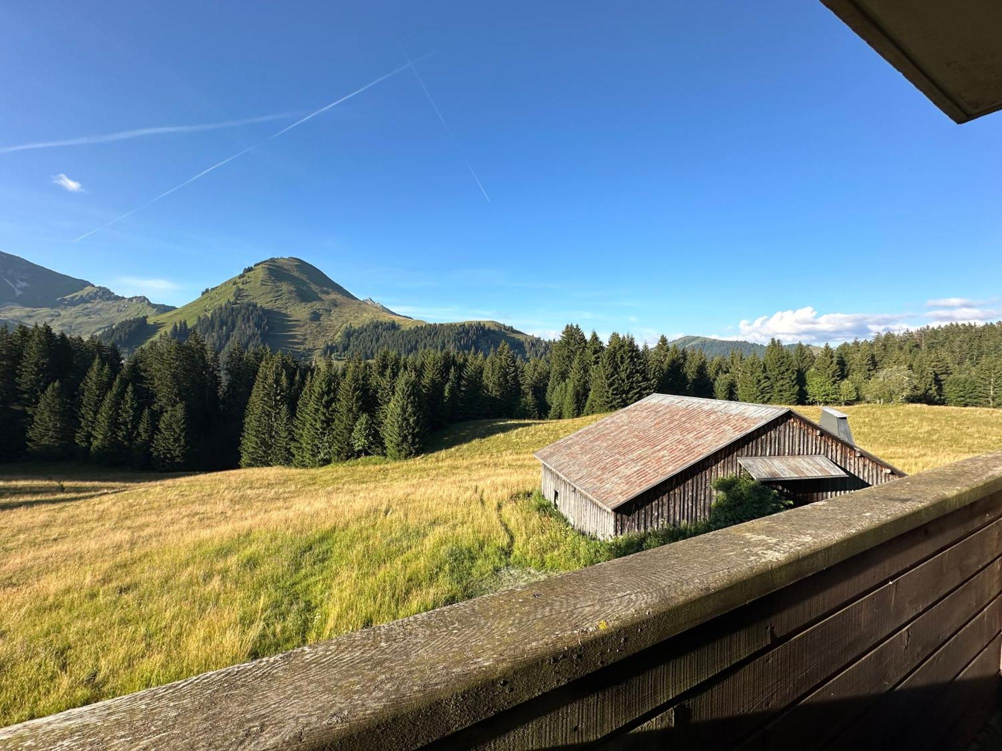 Studio Au Coeur Du Praz-De-Lys - Les Pralyssimes Le Praz de Lys Dış mekan fotoğraf